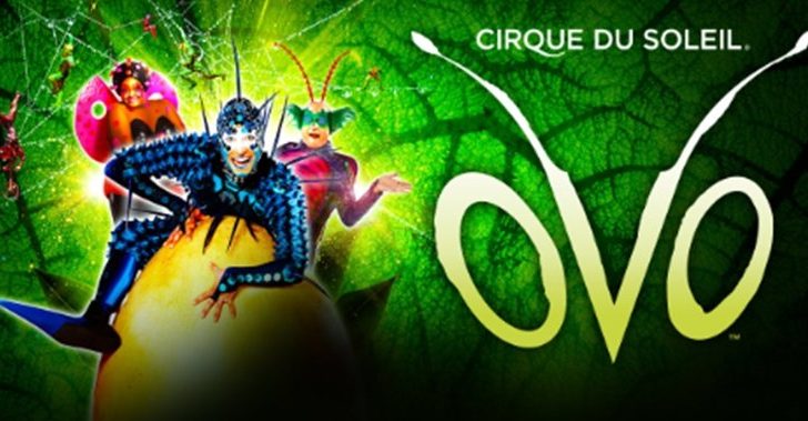 2019022714071336395-728x379