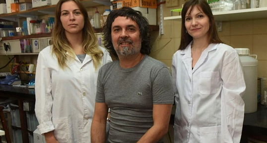 Logro de científicos argentinos: consiguieron frenar el segundo cáncer más letal