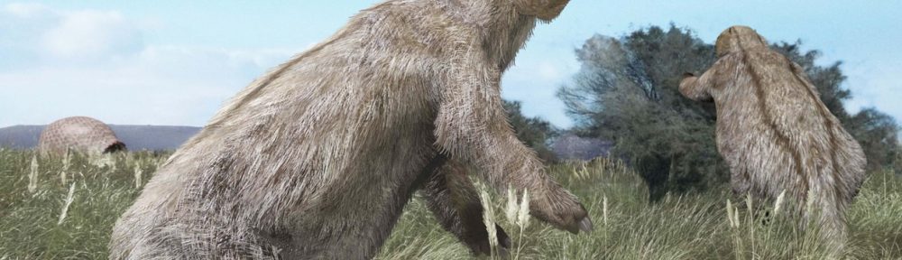 Excavación en Olavarría: Afirman que los grandes hervíboros de Sudamérica se extinguieron por las cacerías del homo sapiens