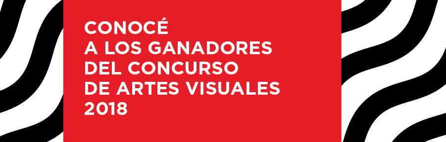 Se conocieron los ganadores del Concurso de Artes Visuales 2018 del FNA