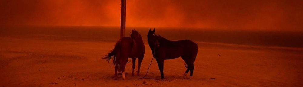 Día de la Tierra. Las mejores fotos de la naturaleza elegidas por la World Press