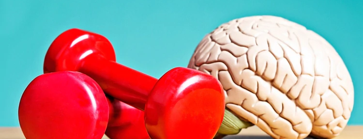 17 pasos y ejercicios para tener una mejor memoria y evitar el deterioro cognitivo