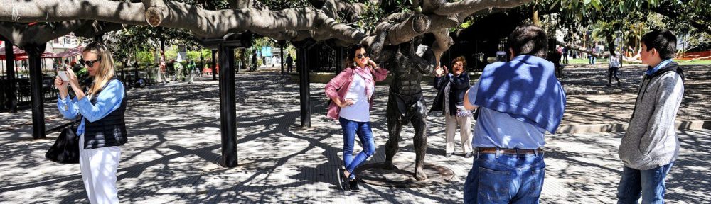 A la sombra de la historia: los secretos de 7 de los árboles más antiguos de la ciudad de Buenos Aires