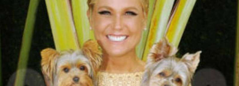 Xuxa admitió que tiene un problema de salud que pone en riesgo su carrera