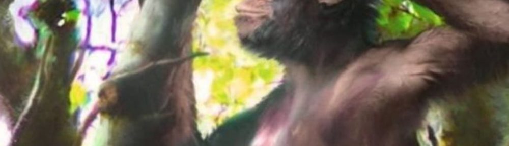 Por qué es revolucionario el hallazgo de un simio con brazos de mono y «piernas humanas»