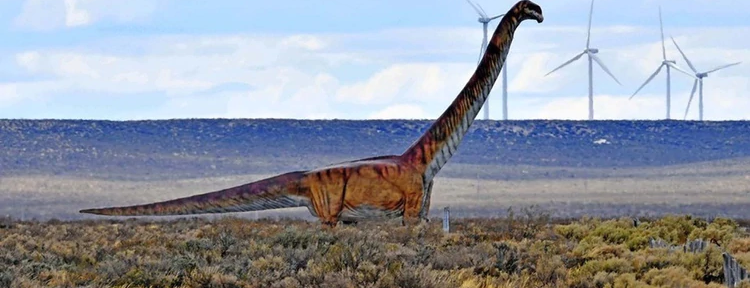Hallaron restos fósiles de un Titanosaurio de 85 millones de años en Neuquén