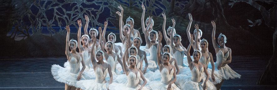«El Lago de los Cisnes» cierra la temporada de ballet del Teatro Colón
