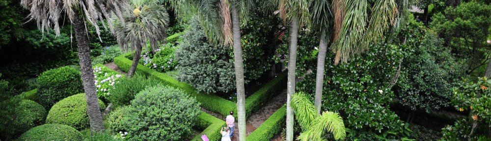 Los nuevos senderos del Jardín Andaluz, un oasis en Belgrano