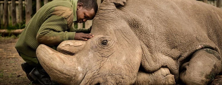 La historia detrás de la foto de la década de National Geographic