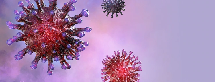 “Hola, humanos… soy el coronavirus”: la explicación en clave sarcástica sobre lo que no hay que hacer en la pandemia