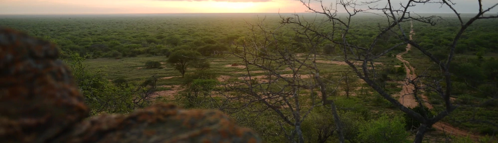 Con una maratón online de tres días, el mundo celebra el 50º Día de la Tierra