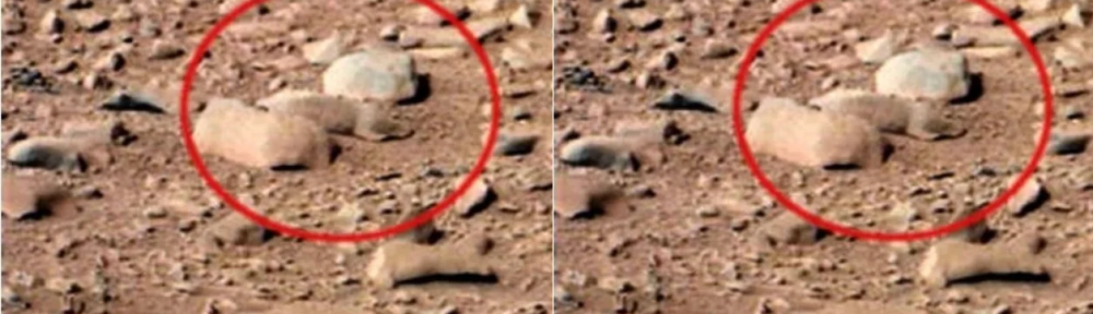 Las fotos que muestran los misteriosos seres y objetos que hay en Marte