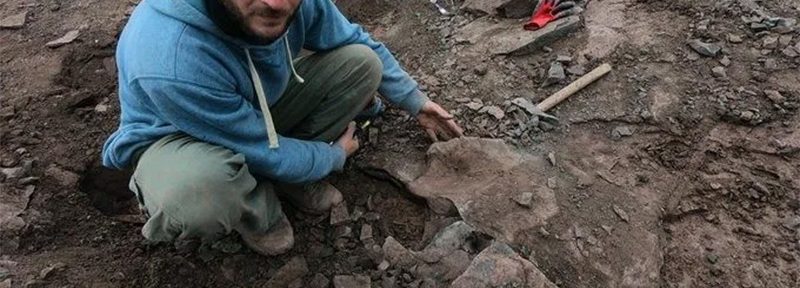 Santa Cruz: hallaron restos de un dinosaurio megaraptor de 70 millones de años de antigüedad