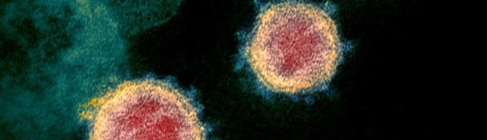 Las “verdades” que se cayeron en los primeros cuatro meses del coronavirus en el mundo