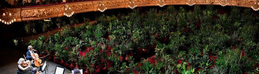 La ópera de Barcelona reabrió con un concierto para plantas