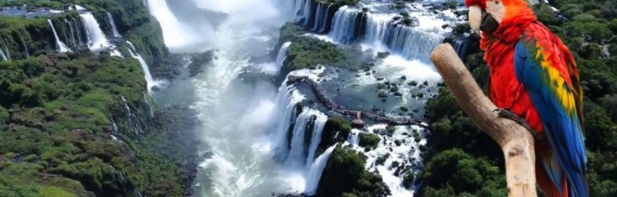 Un argentino en Brasil: Foz do Iguaçu