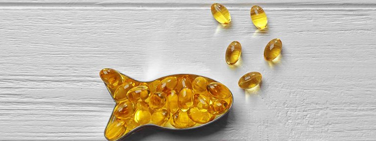 Cómo será el revelador estudio preventivo con un componente del Omega 3 que impulsan científicos argentinos de Rosario y de la Universidad de Harvard