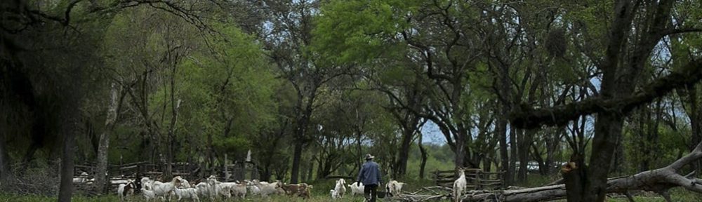 Un documental que bucea en las profundidades de la comunidad Qom