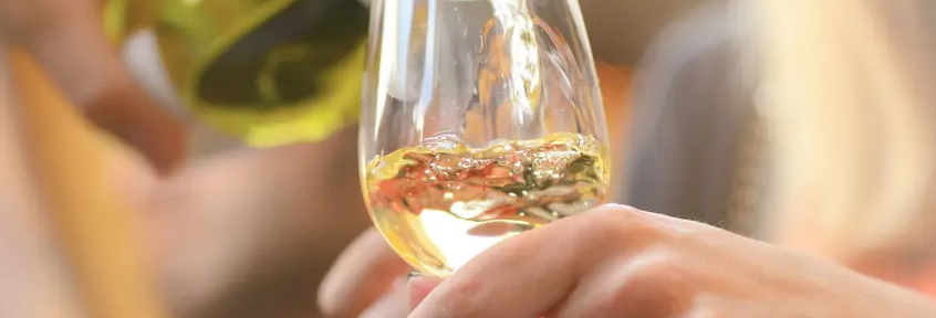 Semana del Torrontés: 14 vinos para descubrir su sabor