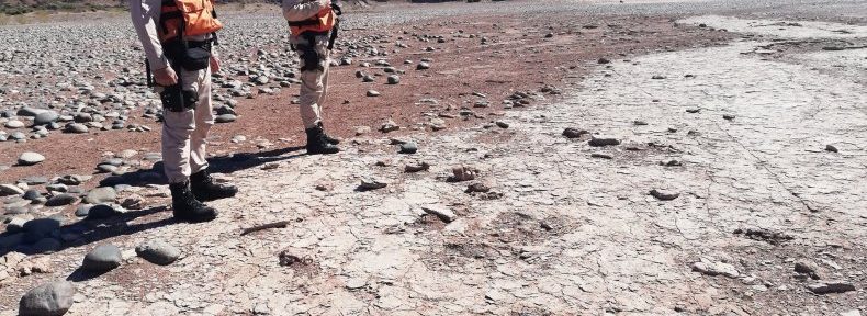 Prefectura encontró huellas de un dinosaurio bípedo en la Patagonia