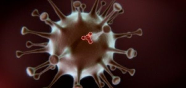 National Geographic presenta dos documentales para reflexionar sobre el coronavirus