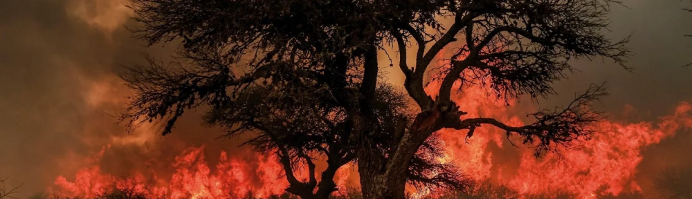 Está en marcha la muestra anual de Fotoperiodismo Argentino, con las mejores imágenes de 2019