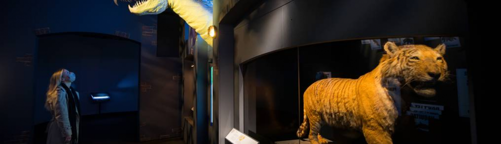 Los animales fantásticos de J.K Rowling llegaron al Museo de Historia Natural de Londres