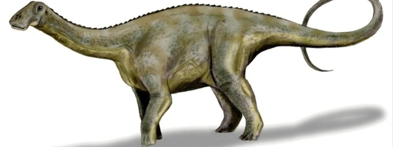 Hallaron restos fósiles de un dinosaurio herbívoro de 100 millones de años en Neuquén