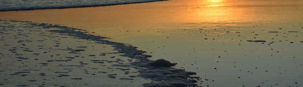 Verano 2021: cinco playas solitarias y tranquilas de la Costa Atlántica para las vacaciones