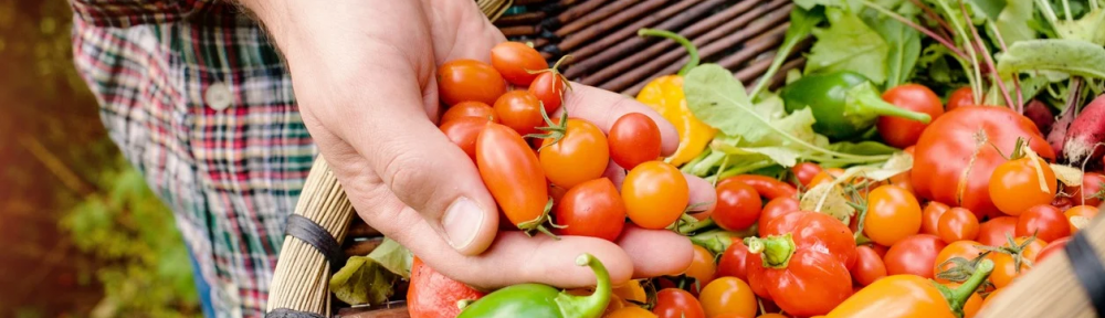 Huerta urbana: qué plantar en marzo y darle la bienvenida al otoño