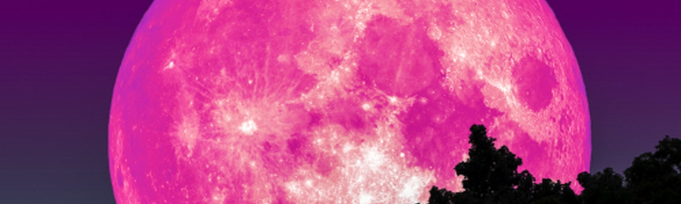 Superluna rosa 2021 en Argentina: la espléndida luna llena de abril