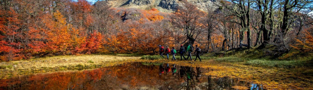 De Mendoza a Tierra del Fuego, un viaje por los colores del otoño