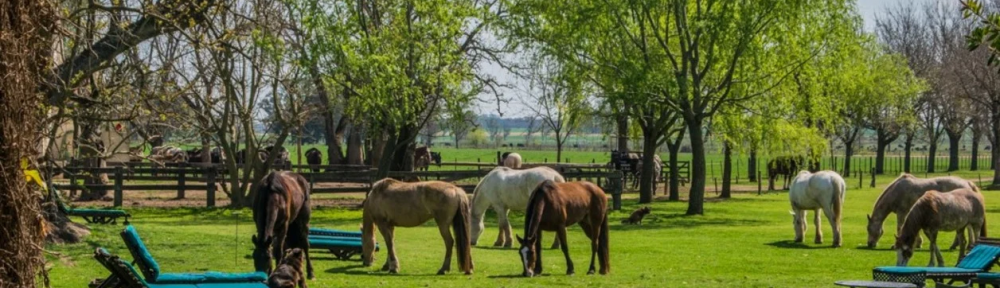 Platos típicos y tradiciones gauchas: 6 opciones para pasar el feriado del 25 de mayo en el campo