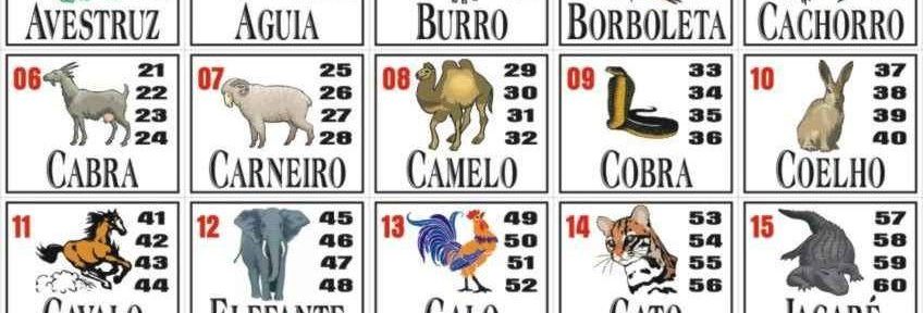 Un argentino en Brasil: El juego del bicho