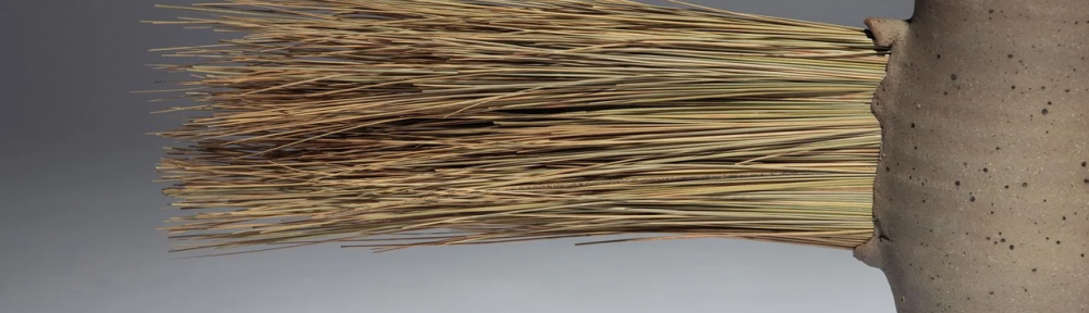 Una planta silvestre de Catamarca, protagonista en la Bienal de Diseño de Londres