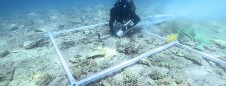 Arqueología: descubrieron un pueblo prehistórico de 6500 años sepultado en el mar