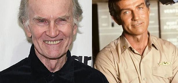 Falleció Robert Hogan, actor de ‘The Wire’ y ‘MASH’, a los 87 años