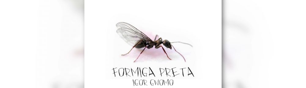 El guitarrista bahiano Igor Gnomo presenta «Formiga Preta»