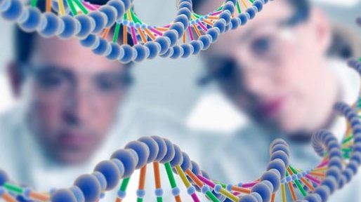 Un consorcio internacional secuenció por primera vez el genoma completo de un ser humano