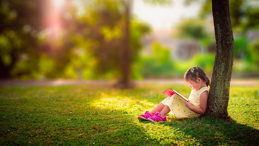 Una biblioteca del Conurbano invita sacar sus libros al parque para fomentar la lectura y reducir los riesgos de contagio de Covid