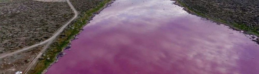 Una laguna se “tiñó” de rosa en Chubut: denuncian contaminación y hay dos municipios enfrentados