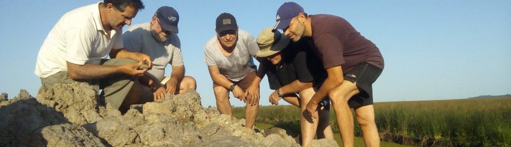 Encontraron fósiles de semillas, moluscos y peces de Cinco mil años de antigüedad en San Pedro