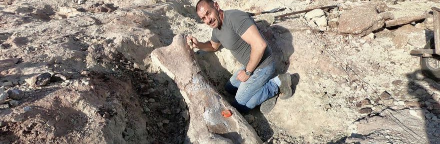 Neuquén: por la bajante de un lago, científicos hallaron los restos de un dinosaurio gigante