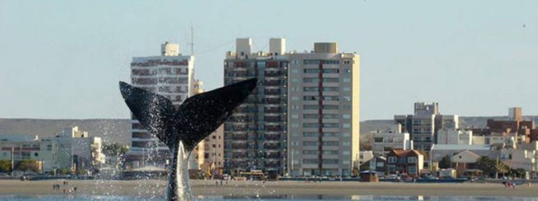 Una argentina por el mundo, hoy en su país: Puerto Madryn. Parte I