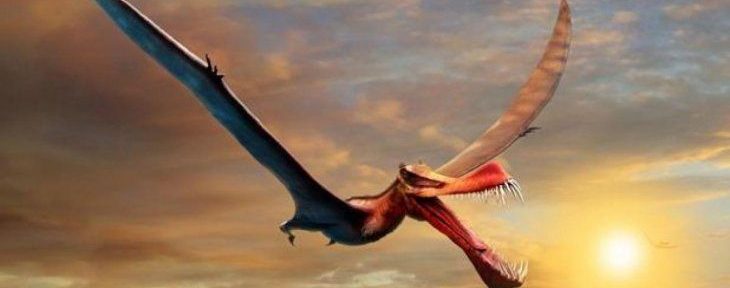 Encuentran a un «temible» dinosaurio volador en Australia