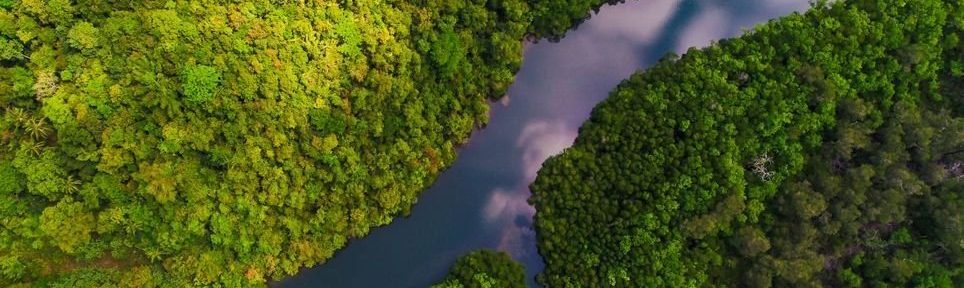 Un argentino en Brasil: El Amazonas, pulmón del mundo
