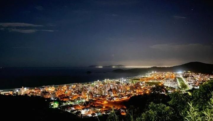 Palmas noche