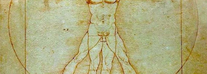 Crucigrama: Hombre de Vitruvio