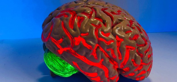 El entrenamiento del cerebro que enseña a manejar la ansiedad