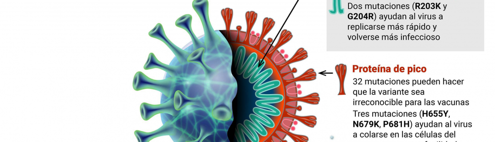 Todos los enigmas que tiene la ciencia sobre Ómicron, la nueva variante del coronavirus